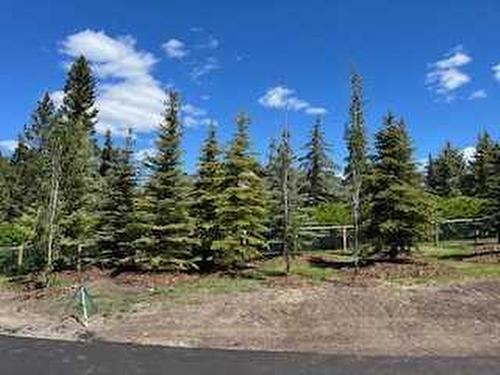 418145 48 Street West, Rural Foothills County, AB - Outdoor With View
