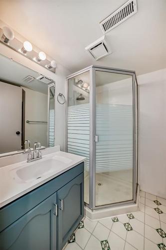 163 Deerview Way Se, Calgary, AB - Indoor Photo Showing Bathroom