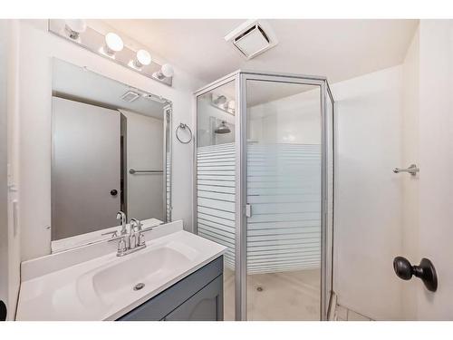 163 Deerview Way Se, Calgary, AB - Indoor Photo Showing Bathroom