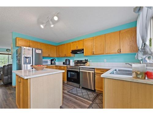 73 Martinvalley Crescent Ne, Calgary, AB - Indoor Photo Showing Kitchen With Double Sink