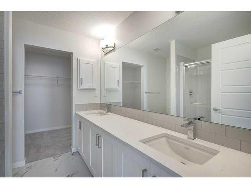 3117-20295 Seton Way Se, Calgary, AB - Indoor Photo Showing Bathroom