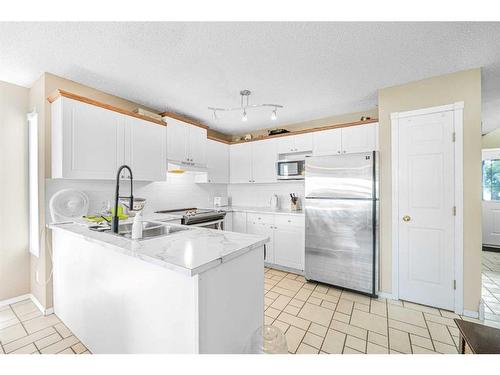 284 Mt Aberdeen Close Se, Calgary, AB - Indoor Photo Showing Kitchen With Double Sink With Upgraded Kitchen