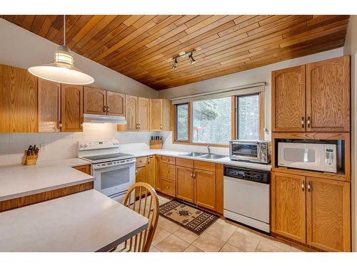 66 Wolf Drive, Rural Rocky View County, AB - Indoor Photo Showing Kitchen With Double Sink