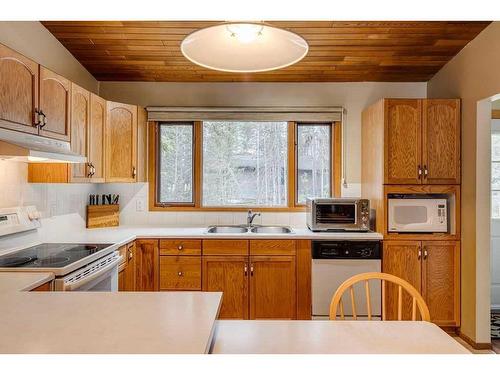 66 Wolf Drive, Rural Rocky View County, AB - Indoor Photo Showing Kitchen With Double Sink