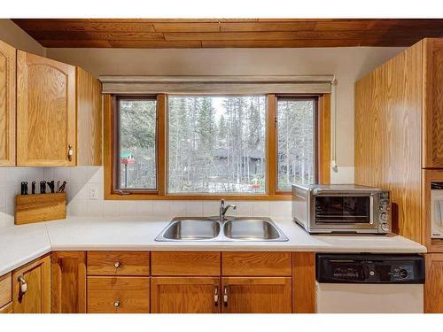 66 Wolf Drive, Rural Rocky View County, AB - Indoor Photo Showing Kitchen With Double Sink
