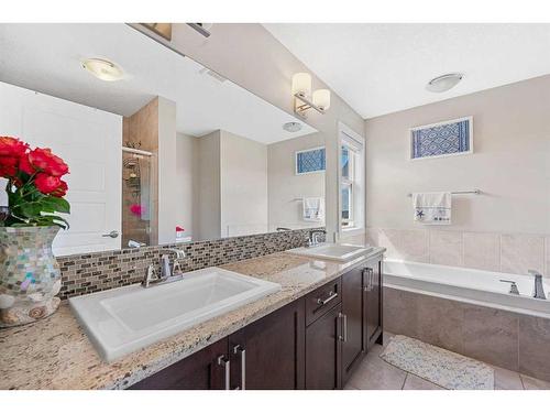 115 Saddlelake Way Ne, Calgary, AB - Indoor Photo Showing Bathroom