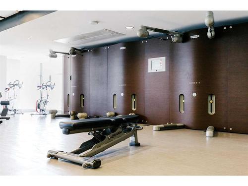 3009-1188 3 Street Se, Calgary, AB - Indoor Photo Showing Gym Room