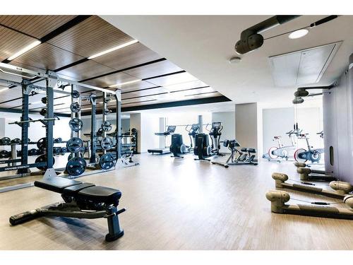 3009-1188 3 Street Se, Calgary, AB - Indoor Photo Showing Gym Room