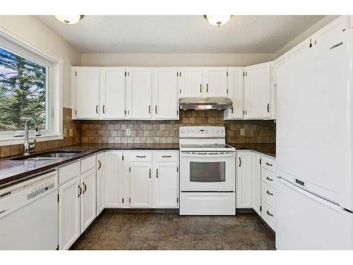 215 Hawkwood Drive Nw, Calgary, AB - Indoor Photo Showing Kitchen With Double Sink
