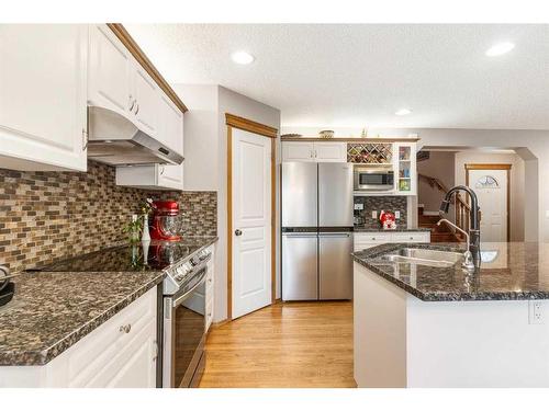 189 Cranfield Green Se, Calgary, AB - Indoor Photo Showing Kitchen With Double Sink With Upgraded Kitchen