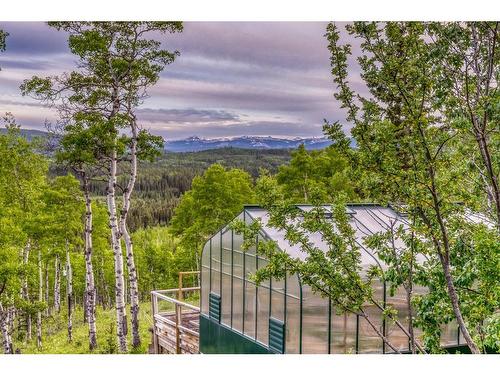 309 Wild Rose Close, Rural Rocky View County, AB - Outdoor With View