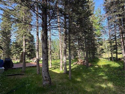83 Manyhorses Drive, Rural Rocky View County, AB - Outdoor With View