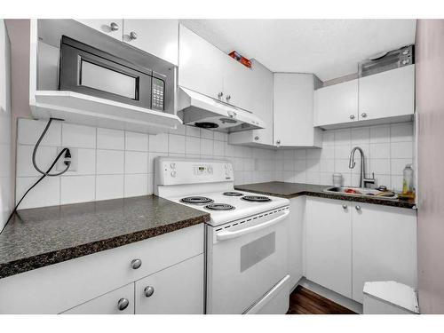 189 Tarington Close Ne, Calgary, AB - Indoor Photo Showing Kitchen With Double Sink