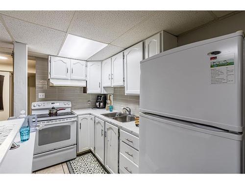 21 Castleglen Road Ne, Calgary, AB - Indoor Photo Showing Kitchen With Double Sink