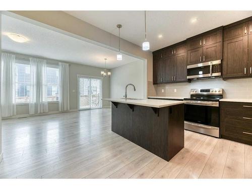 1217 Copperfield Boulevard Se, Calgary, AB - Indoor Photo Showing Kitchen With Stainless Steel Kitchen With Upgraded Kitchen