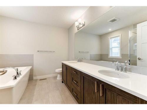 1217 Copperfield Boulevard Se, Calgary, AB - Indoor Photo Showing Bathroom