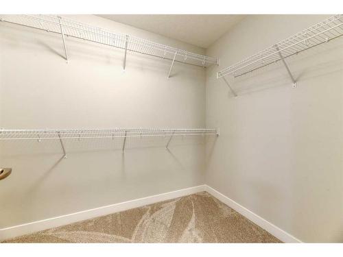 1217 Copperfield Boulevard Se, Calgary, AB - Indoor With Storage