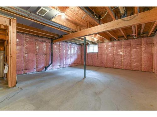 1217 Copperfield Boulevard Se, Calgary, AB - Indoor Photo Showing Basement