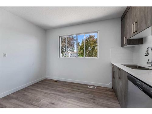 212 Marlborough Way Ne, Calgary, AB - Indoor Photo Showing Kitchen With Double Sink