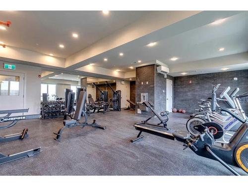 431-3932 University Avenue Nw, Calgary, AB - Indoor Photo Showing Gym Room