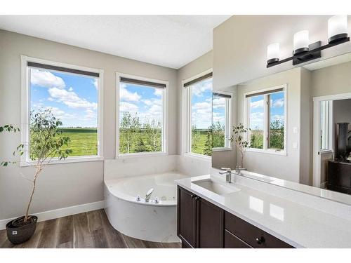 254141 Range Road 274, Rural Rocky View County, AB - Indoor Photo Showing Bathroom