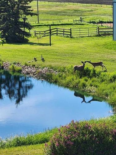 270168 Range Road 283, Rural Rocky View County, AB 