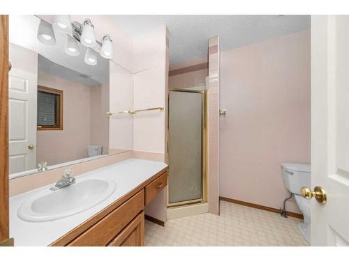 91 Macewan Meadow Way Nw, Calgary, AB - Indoor Photo Showing Bathroom