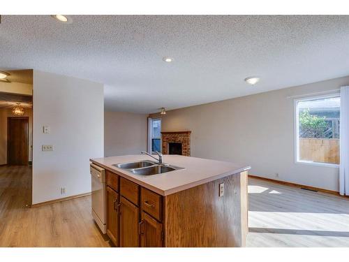 17 Sundown Close Se, Calgary, AB - Indoor Photo Showing Kitchen With Double Sink