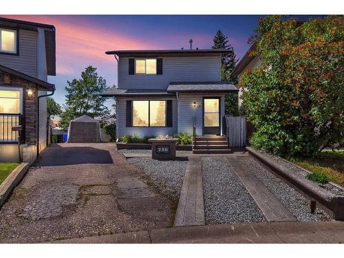 236 Abadan Place Ne, Calgary, AB - Outdoor