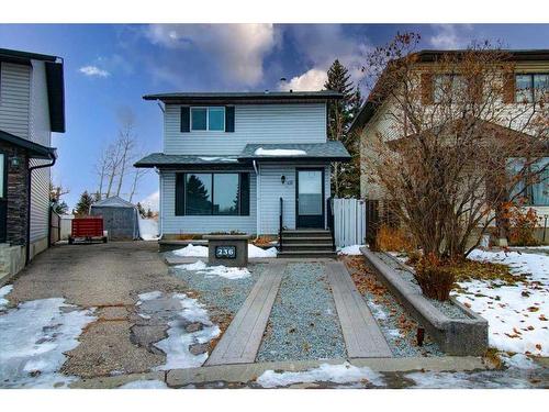 236 Abadan Place Ne, Calgary, AB - Outdoor