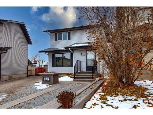 236 Abadan Place Ne, Calgary, AB - Outdoor