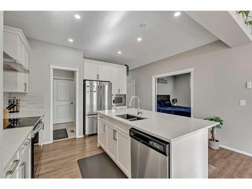 317 Cornerstone Manor Ne, Calgary, AB - Indoor Photo Showing Kitchen With Stainless Steel Kitchen With Double Sink With Upgraded Kitchen