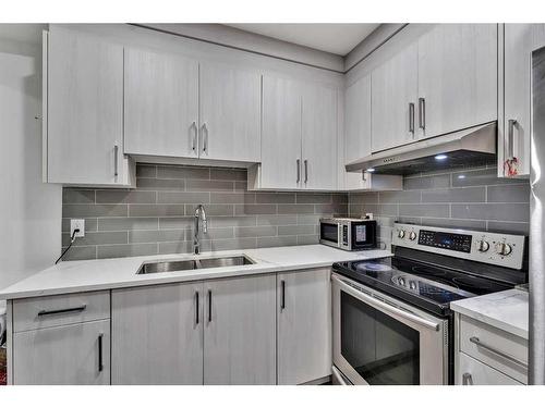 317 Cornerstone Manor Ne, Calgary, AB - Indoor Photo Showing Kitchen With Stainless Steel Kitchen With Double Sink