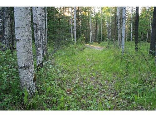 127-50056 35-0 Township, Rural Clearwater County, AB 