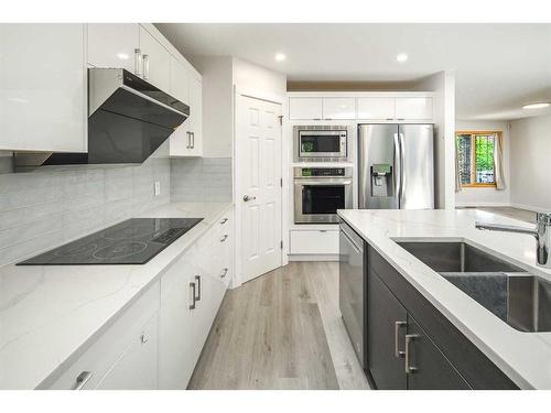 69 Hampstead Terrace Nw, Calgary, AB - Indoor Photo Showing Kitchen With Double Sink With Upgraded Kitchen