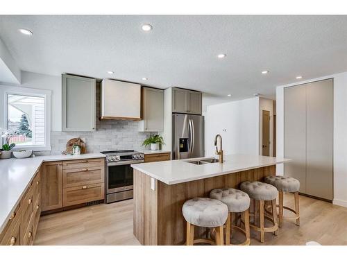 489 Sunmills Drive Se, Calgary, AB - Indoor Photo Showing Kitchen With Double Sink With Upgraded Kitchen