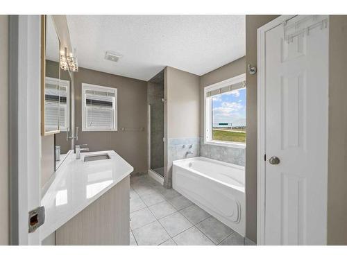 125 Hidden Spring Circle Nw, Calgary, AB - Indoor Photo Showing Bathroom