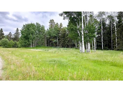 354069 Range Road 52, Rural Clearwater County, AB - Outdoor