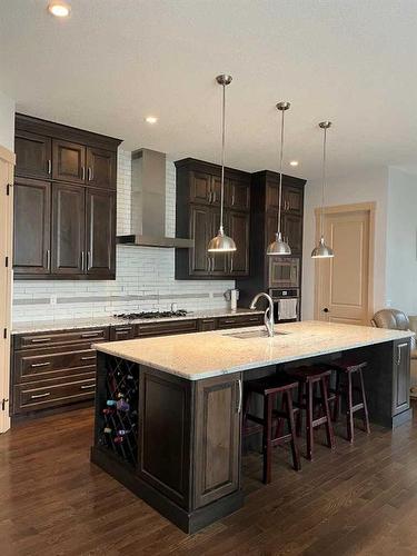 1127 Russet Road Ne, Calgary, AB - Indoor Photo Showing Kitchen With Upgraded Kitchen