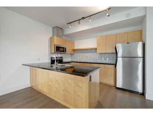 202-2124 17 Street Sw, Calgary, AB - Indoor Photo Showing Kitchen With Stainless Steel Kitchen With Double Sink