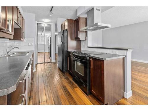 101D-4455 Greenview Drive Ne, Calgary, AB - Indoor Photo Showing Kitchen With Stainless Steel Kitchen With Double Sink