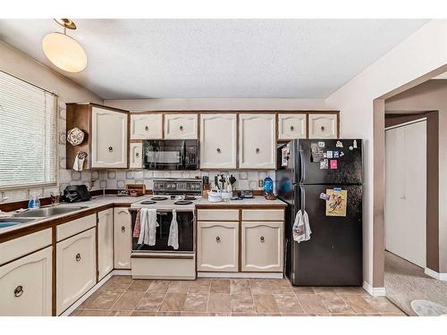 4707 Whitehorn Drive Ne, Calgary, AB - Indoor Photo Showing Kitchen With Double Sink