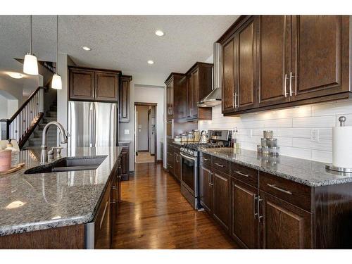 119 Brightoncrest Terrace Se, Calgary, AB - Indoor Photo Showing Kitchen With Double Sink With Upgraded Kitchen