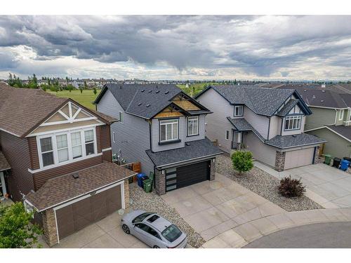 119 Brightoncrest Terrace Se, Calgary, AB - Outdoor