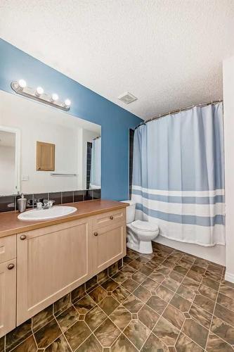 351 Copperfield Boulevard Se, Calgary, AB - Indoor Photo Showing Bathroom