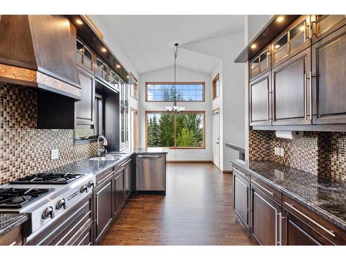 79 Mt Assiniboine Circle Se, Calgary, AB - Indoor Photo Showing Kitchen With Upgraded Kitchen
