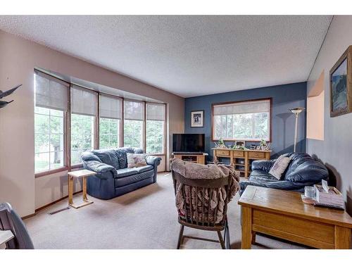 34546 Range Road 12, Rural Red Deer County, AB - Indoor Photo Showing Living Room