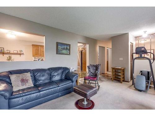 34546 Range Road 12, Rural Red Deer County, AB - Indoor Photo Showing Living Room