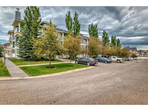 16 Auburn Bay Common Se, Calgary, AB - Outdoor