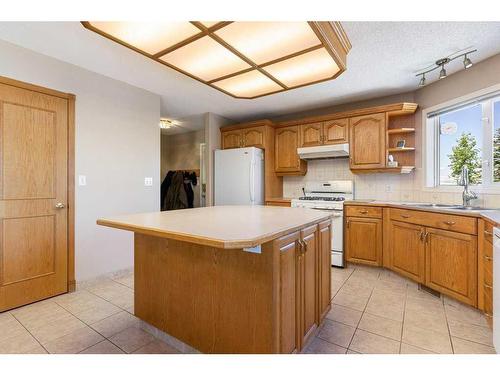 255030 84 Street Ne, Rural Rocky View County, AB - Indoor Photo Showing Kitchen With Double Sink